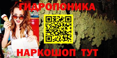 прущие крисы Лесосибирск