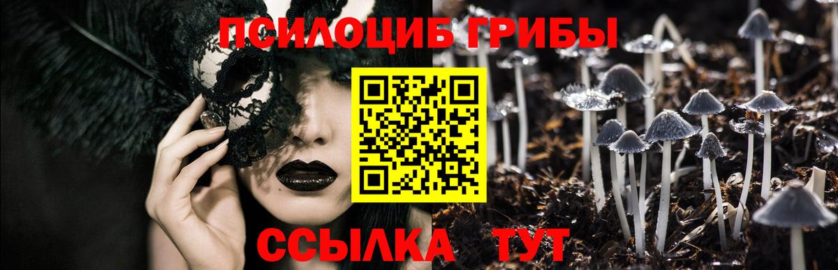 Галлюциногенные грибы Cubensis  Вход с VPN  Псилоцибиновые грибы Cubensis  Бузулук 